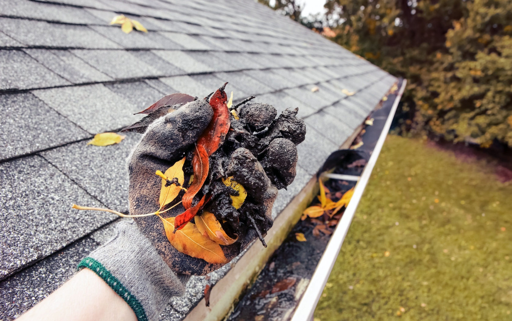 Gutter Cleaning Noordheuwel 1