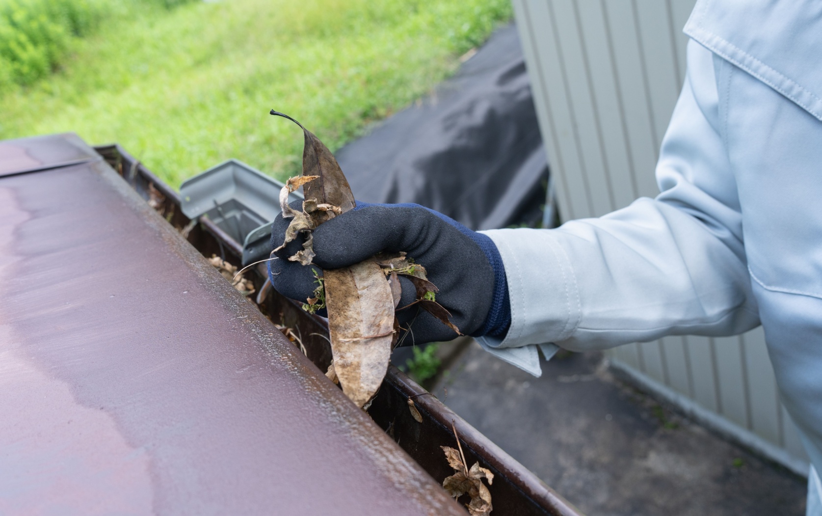 Gutter Cleaning Wilropark